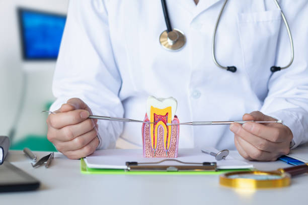 Best Urgent Dental Care for Toothache in Rochester, IL